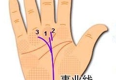 ​事业线是哪条线