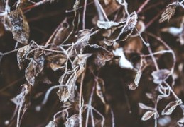 怎么增加财运方面的风水（怎么增加财运方面的风水呢）