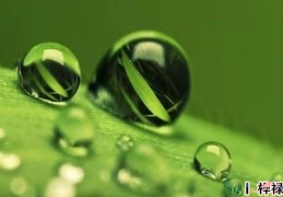 八字中七杀的含义（八字中七杀的含义）