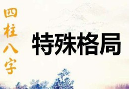 八字看肾病（八字看肾病该怎么调）