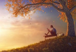 月刃格女命八字的特点