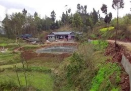 看阳宅风水应该从哪里开始呢（看阳宅风水应该从哪里开始呢视频）