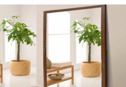 做生意进门风水