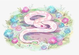 2001年出生的人是什么命