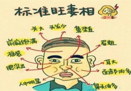 财运好旺妻子的男人脸相貌