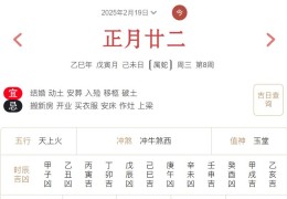 2025年2月19日每日五行穿衣指数解读搭配