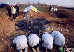 八字神煞十神术语大全