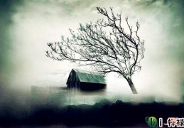 阳宅阴气太重如何化解