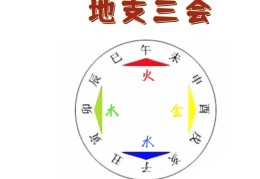 八字地支三会局是什么