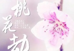 引起桃花劫风水布局