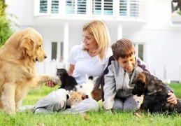 养宠物的风水讲究和禁忌