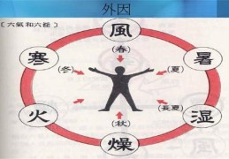 八字五行缺水补救方法