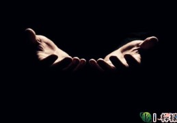 八字会不会复合看哪里