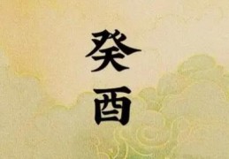 癸酉女命日柱婚姻如何，命格怎么样