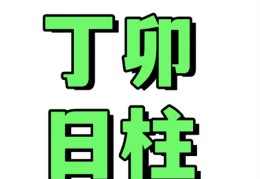 八字丁卯日柱命好吗