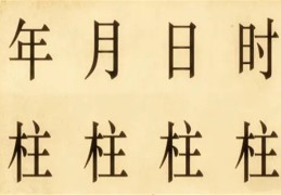 四柱八字时柱能看出什么信息
