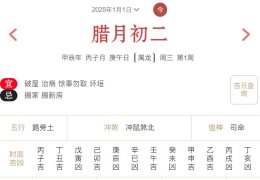2025年1月1日每日五行穿衣指数解读搭配