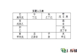 八字地支藏干透出原理及象义
