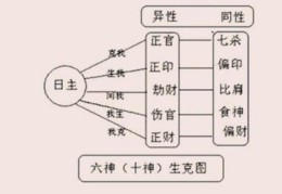 正印与坐支十神关系