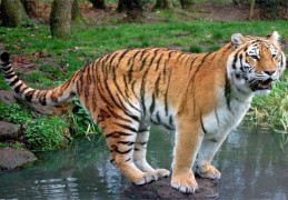 2010年出生的人是什么命