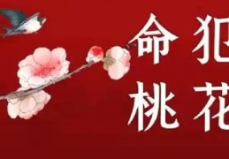 如何判断八字是否有桃花煞