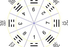 易犯口业的八字特征（易犯口业的八字特征有哪些）