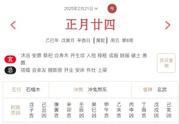 2025年2月21日每日五行穿衣指数解读搭配
