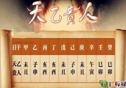 天乙贵人入命真的好吗