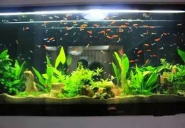 公司风水鱼缸应如何摆放