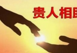 八字官运事业运为何不旺