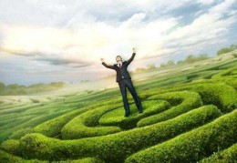 适合做风水师的八字