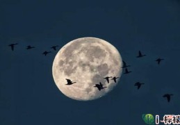 八字月令断事秘诀