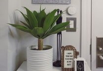 怎么化解家居风水煞气