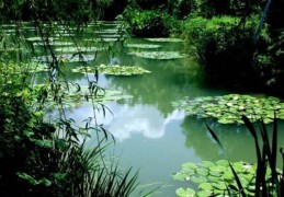 老祖宗批八字流年吉凶决