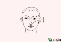 鼻子歪的面相解析