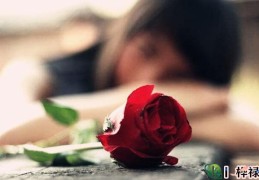 女命魁罡贵人合适嫁哪种人