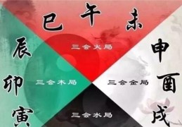 八字十二地支三会局