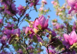 有小人怎么化解（怎么化解小人最灵最有效）