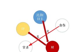 八字食伤克官杀代表什么