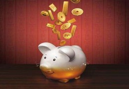 怎么才能知道财运多少，怎么查询自己八字的财星