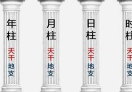 八字日柱是怎么确定的