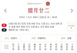 2025年1月21日每日五行穿衣指数解读搭配