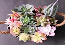 假花对风水有影响吗（假花对风水有影响吗视频）