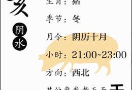 八字基础知识：十二地支、亥水