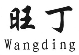 家里放什么能旺丁