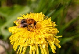 什么八字的人天生就有财（什么八字的人天生就有财运）