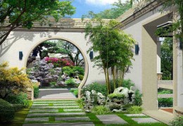 ​院子里种树的风水讲究