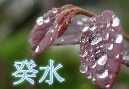 癸水日柱女命的运势分析