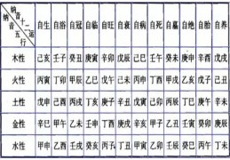 纳音五行重要吗（纳音五行重要吗知乎）（纳音五行有啥用）