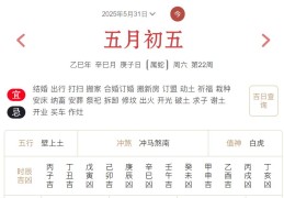 2025年5月31日每日五行穿衣指数解读搭配